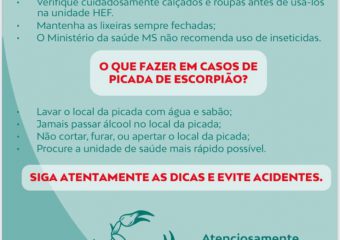Hospital Estadual de Formosa amplia medidas preventivas para evitar acidentes com escorpiões