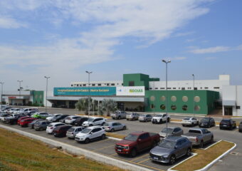 HCN alerta sobre aumento de acidentes envolvendo escorpiões