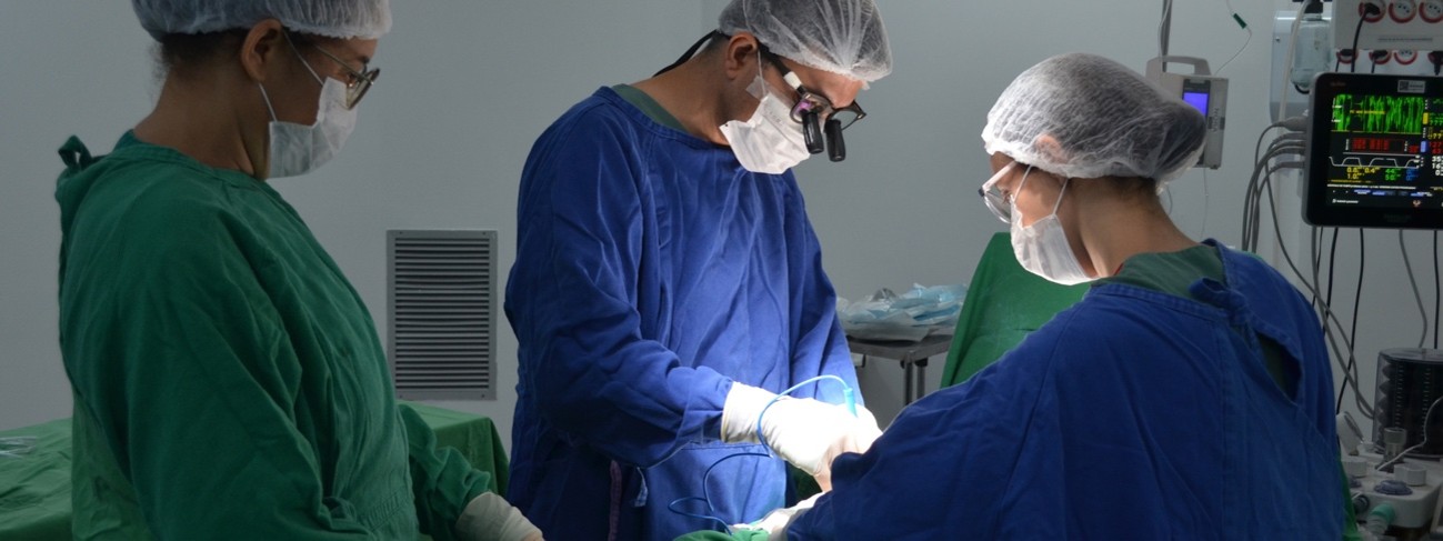 No mês dedicado à conscientização sobre a doação de órgãos, Setembro Verde, o Hospital Estadual do Centro-Norte Goiano (HCN), em Uruaçu, realizou mais duas captações de órgãos e tecidos para transplantes. Os procedimentos ocorreram nos dias 14 e 30 de setembro e fizeram a unidade alcançar a marca de 40 captações realizadas desde 2022. A 39ª captação ocorreu no dia 14 de setembro, após a autorização da família de uma doadora de 21 anos. Foram captados rins e córneas, em um procedimento que contou com a participação da Central Estadual de Transplantes de Goiás (CET-GO), do Centro de Referência em Oftalmologia da Universidade Federal de Goiás (CEROF/UFG) e da Organização de Procura de Órgãos (OPO/HEANA). A logística aérea teve o apoio do Serviço Aéreo do Estado de Goiás (SAEG-GO). Já nesta quarta-feira (30/09), o HCN realizou a 40ª captação de órgãos da unidade. O doador, de 24 anos, possibilitou a captação de fígado e rins. O procedimento envolveu novamente a atuação da CET-GO e da OPO/HEANA, além do apoio dos Corpos de Bombeiros Militar de Goiás e do Distrito Federal na logística aérea. As duas operações evidenciam a importância da atuação integrada entre hospitais, equipes especializadas, centrais de transplantes e instituições responsáveis pela logística. Essa articulação permite que todo o processo, desde a identificação do potencial doador até a captação e o transporte dos órgãos, seja realizado dentro dos protocolos necessários e no menor tempo possível. Desde a primeira captação realizada em 2022, o HCN integra a rede de doação e transplantes e conta com estrutura para a realização dos procedimentos. A unidade também possui uma Equipe Hospitalar de Doação para Transplantes (e-DOT), formada por profissionais de diferentes áreas, como serviço social, psicologia, enfermagem e equipe médica, que atua ao longo do processo e no acolhimento e orientação dos familiares. Para a presidente da e-DOT e coordenadora de uma das UTIs Adulto do HCN, Kellen Lopes, conversar sobre a doação de órgãos com a família é essencial para que a vontade do potencial doador seja conhecida e respeitada. “A doação de órgãos é um assunto que precisa ser conversado ainda em vida. A autorização da família é indispensável para que a doação aconteça. Esse gesto pode transformar e salvar vidas”, destaca. Setembro Verde Realizada ao longo de setembro, a campanha Setembro Verde busca ampliar a conscientização sobre a importância da doação de órgãos e incentivar as pessoas a manifestarem esse desejo aos familiares. No Brasil, mesmo que uma pessoa tenha declarado em vida a intenção de ser doadora, a doação após a morte depende da autorização da família. Por isso, além de ampliar o conhecimento sobre o processo de doação, a campanha chama atenção para a importância do diálogo familiar. Falar sobre o assunto antecipadamente pode ajudar para que, diante da possibilidade de uma doação, os familiares conheçam a vontade do potencial doador. Após a autorização e os trâmites dos procedimentos necessários, os órgãos captados são destinados a pacientes cadastrados no Sistema Nacional de Transplantes (SNT). A distribuição segue critérios técnicos, como compatibilidade entre doador e receptor, gravidade do quadro clínico e tempo de espera. A realização das duas captações durante o Setembro Verde também reforça a importância do trabalho em rede para que a doação se transforme efetivamente em possibilidade de transplante. A atuação conjunta entre o HCN, a Central Estadual de Transplantes, equipes especializadas e instituições responsáveis pelo transporte permite conectar o gesto das famílias doadoras aos pacientes que aguardam por um órgão, fortalecendo a rede pública de doação e transplantes.